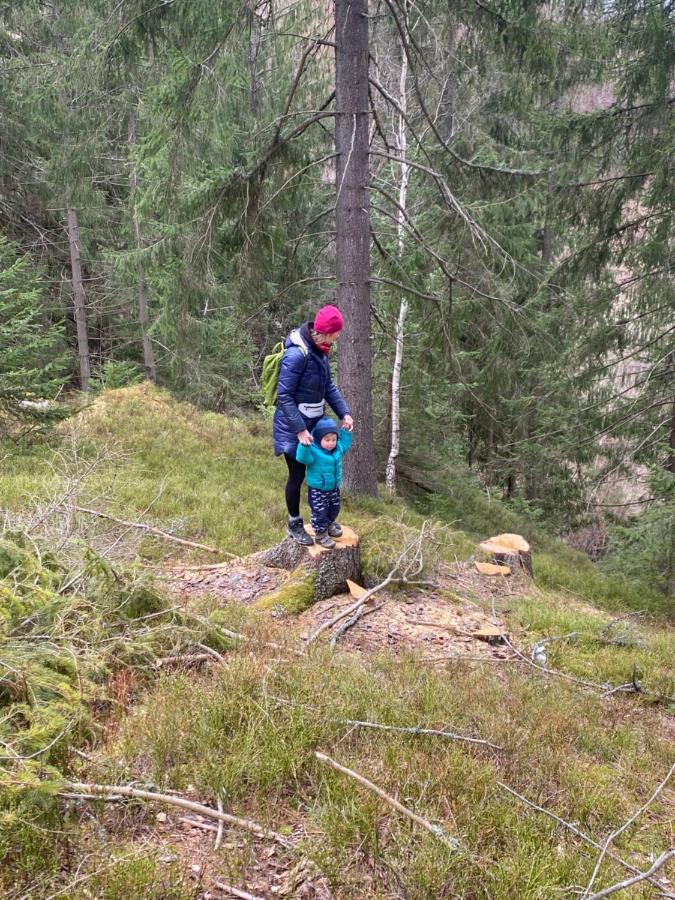 Drevenica Emilka - Nízke Tatry - Muran - Pre Rodiny Brezno Exteriér fotografie