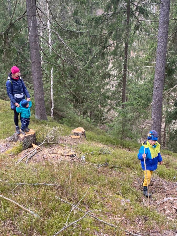 Drevenica Emilka - Nízke Tatry - Muran - Pre Rodiny Brezno Exteriér fotografie